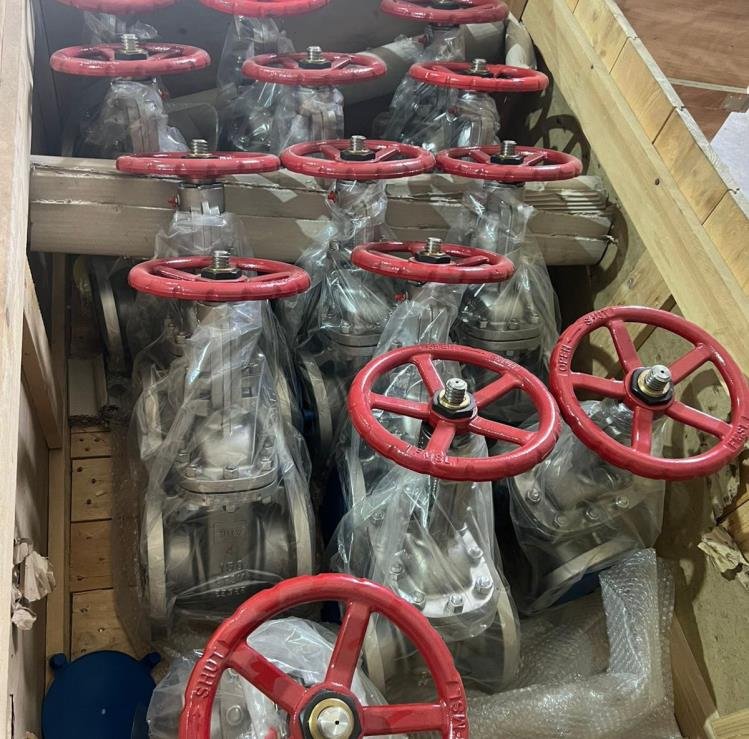 Valves, Actuators & Flow Control project evidence